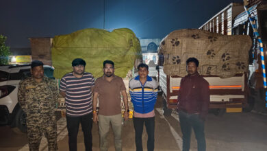Two pickup trucks transporting illegal paddy from Jharkhand seized in Jashpur; vehicles handed over to the police.