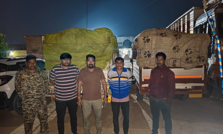 Two pickup trucks transporting illegal paddy from Jharkhand seized in Jashpur; vehicles handed over to the police.