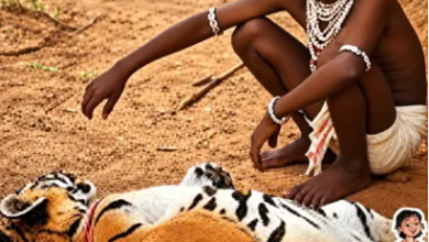 Rural tourism in Chhattisgarh to gain new recognition; outstanding work to be honored with the ‘Chendru’ Award.