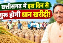 Promotion of crop diversification in Chhattisgarh; up to 15,000 rupees to be provided for alternative farming