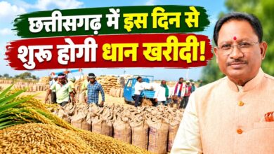 Promotion of crop diversification in Chhattisgarh; up to 15,000 rupees to be provided for alternative farming