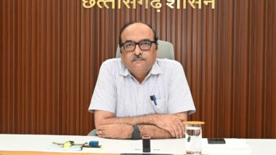 छत्तीसगढ़ में ‘हर-घर मुनगा’ अभियान शुरू होगा, 23,500 स्कूलों में लगेंगे पौधे