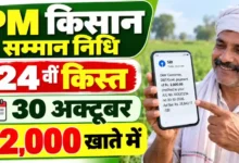 PM Kisan 24th Installment: A payment of Rs 2,000 will be credited to farmers' accounts on October 30; 78,973 farmers in Kanker to benefit.